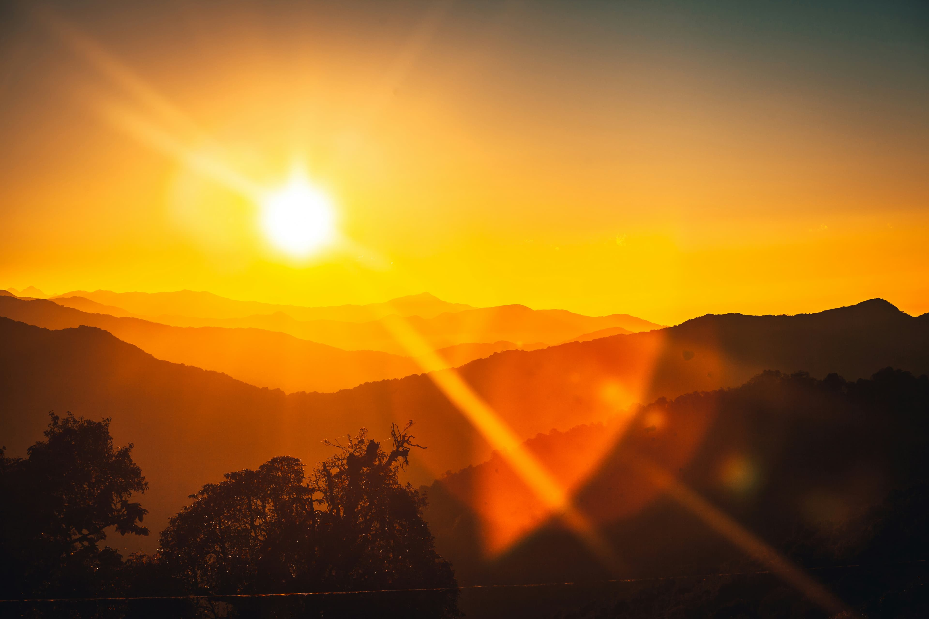 The Importance of Sunlight for Sleep