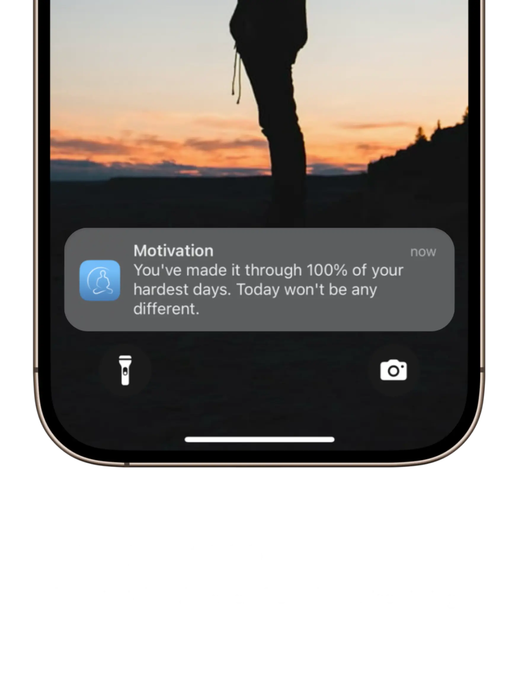 daily quotes - fresh insights / mood lifters / surprise timing